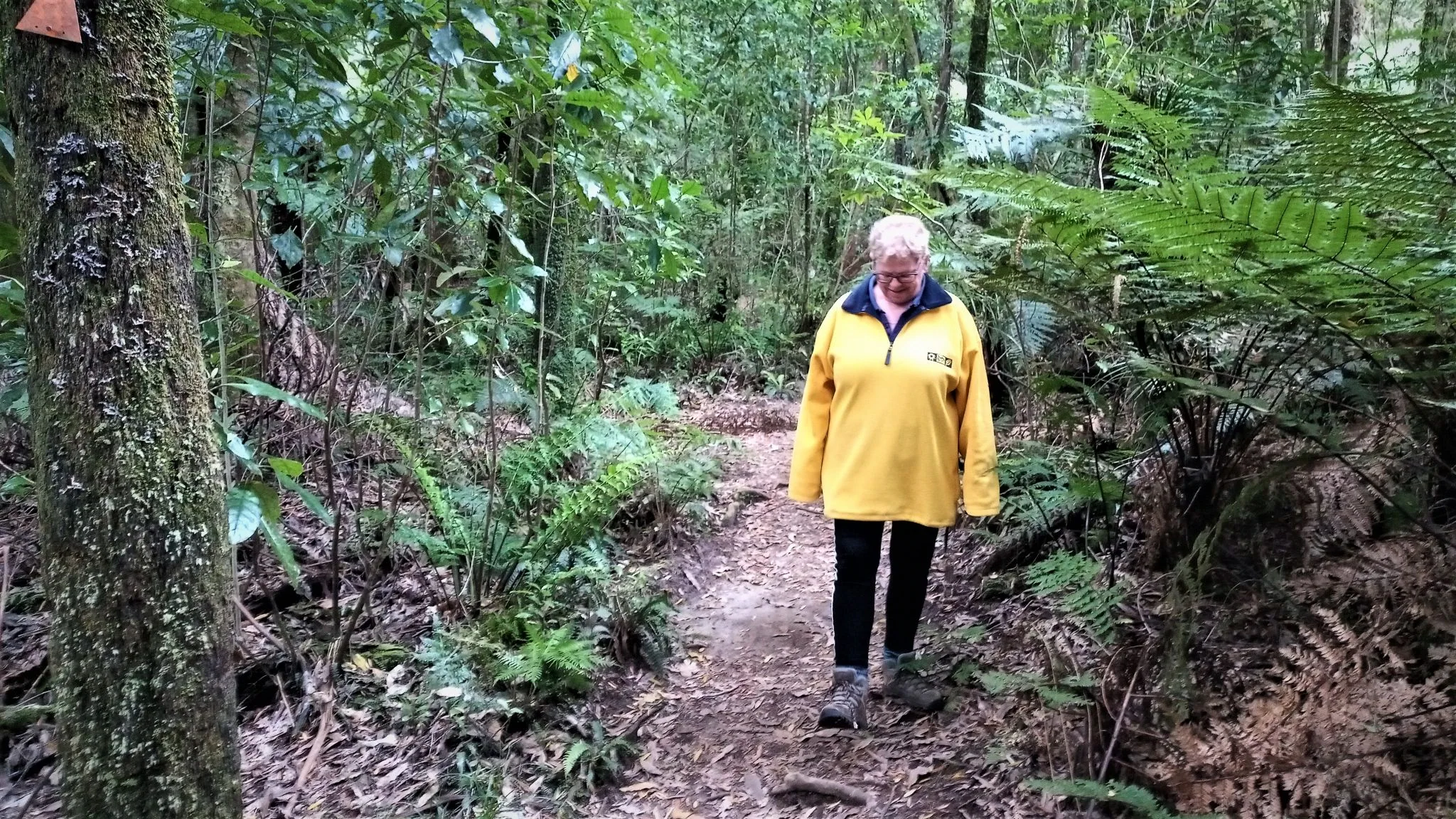 J17 otanewainuku rimu loop whataroa falls track 17 oct 2021 (2)